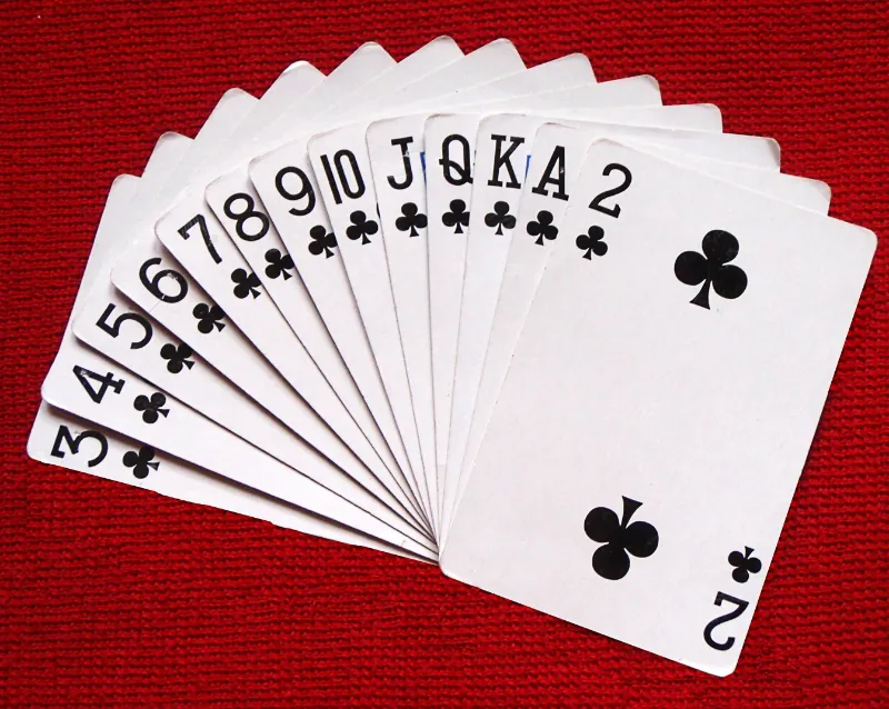 Mỗi người chơi được chia 13 lá bài 