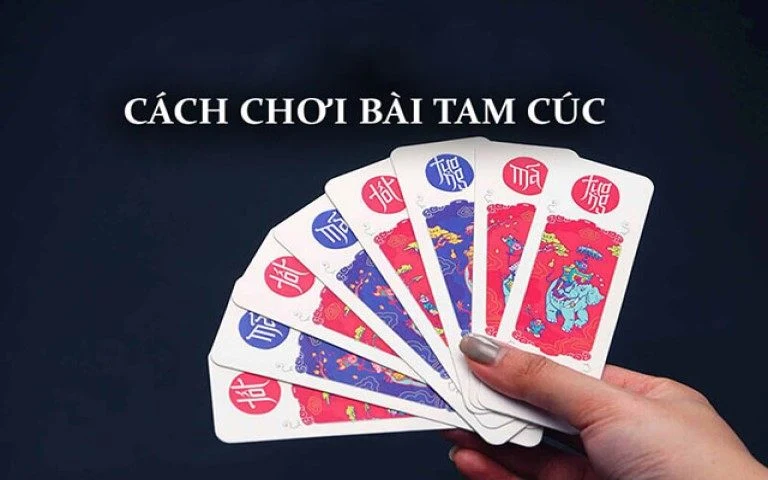 Giới thiệu về vài nét về Tam Cúc